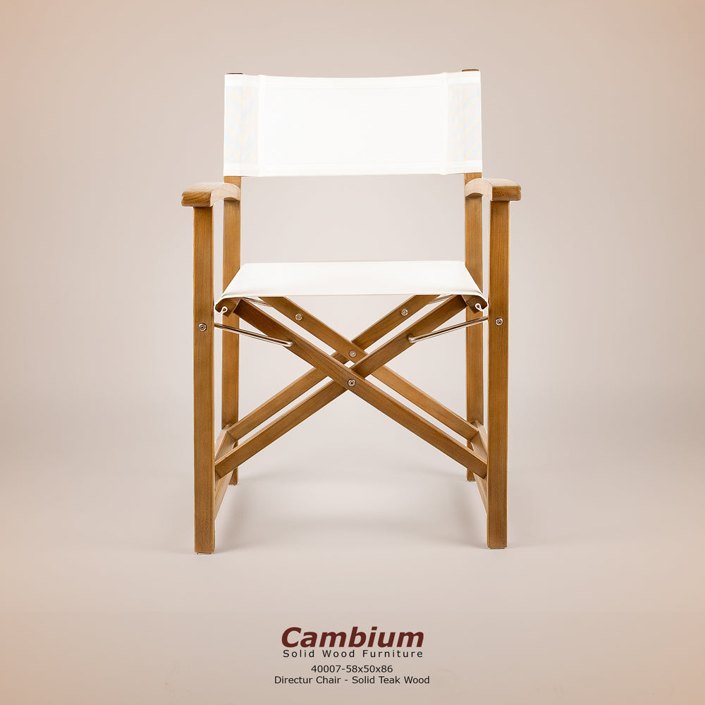 Cambium Director Folding Chair