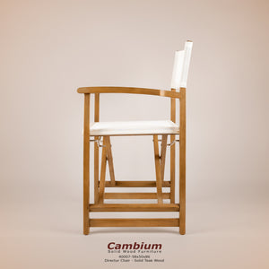 Cambium Director Folding Chair
