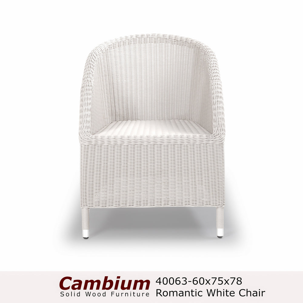 Romanov Woven Lounge Arm Chair