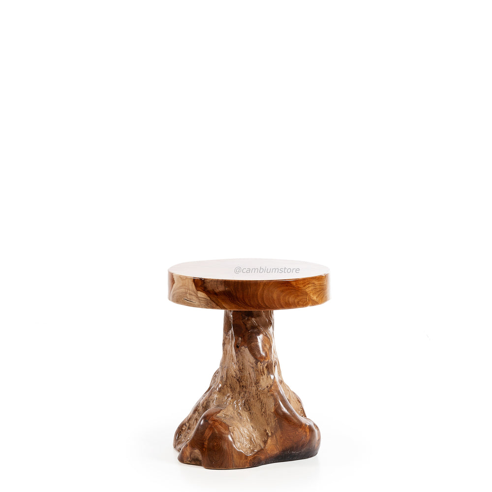 Round Tree Groot Stool