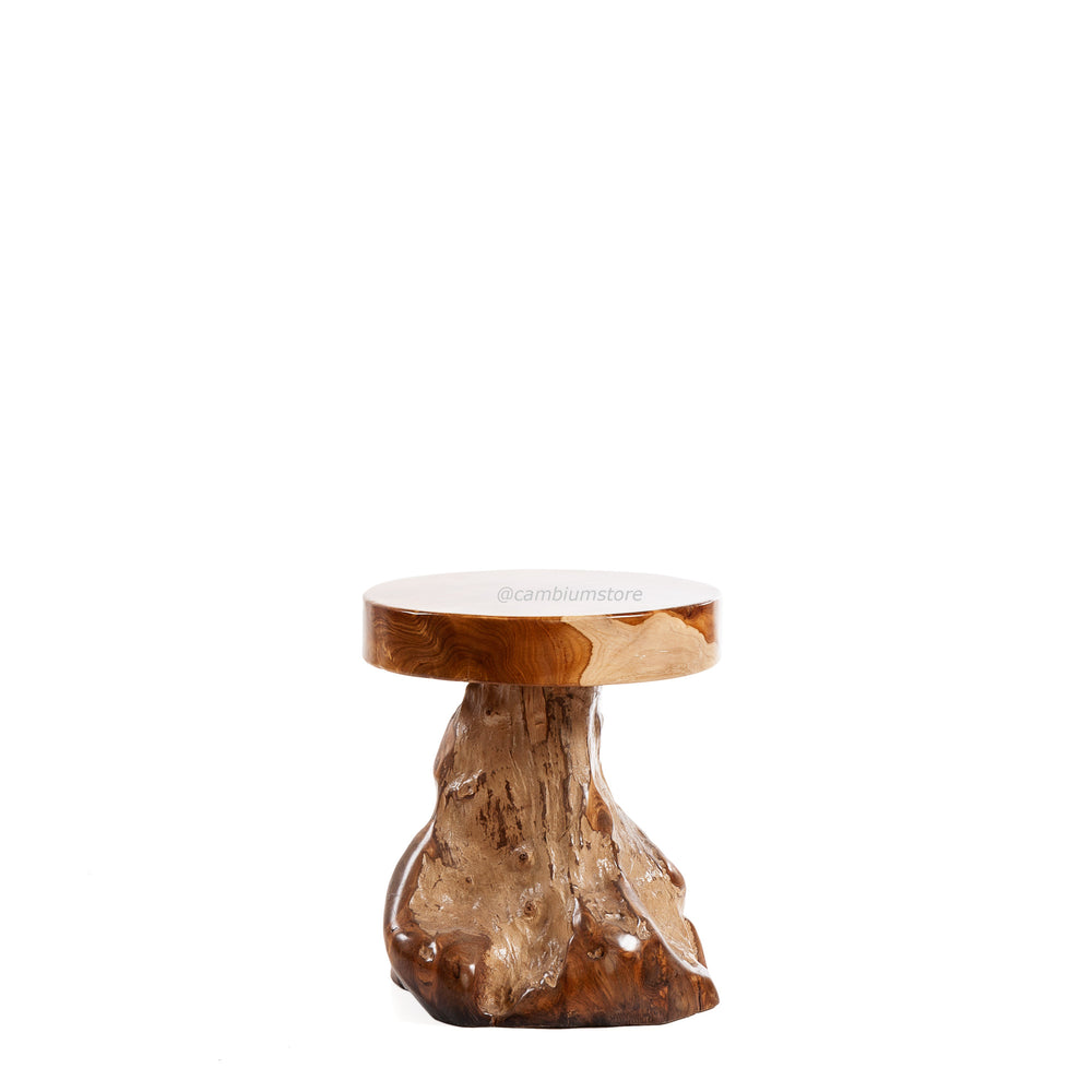 Round Tree Groot Stool