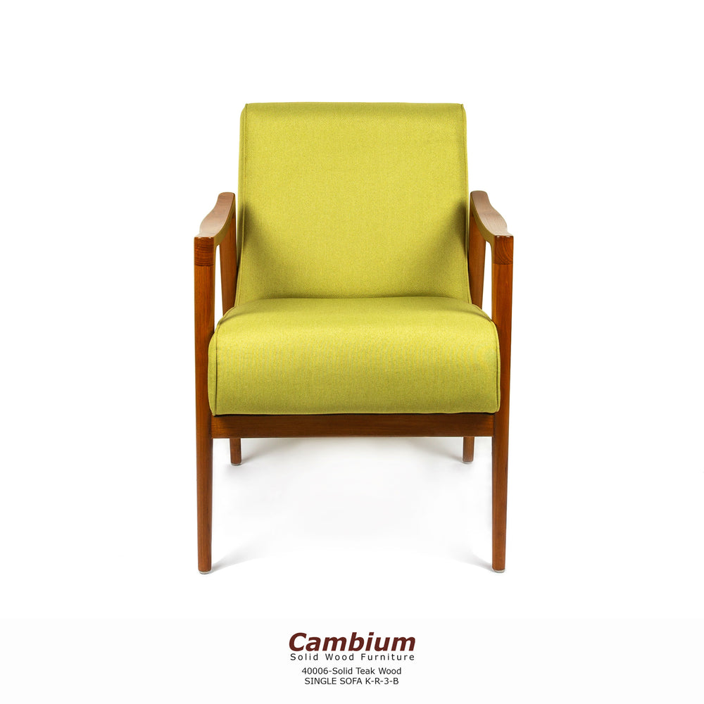 Minnesota Lounge Chair