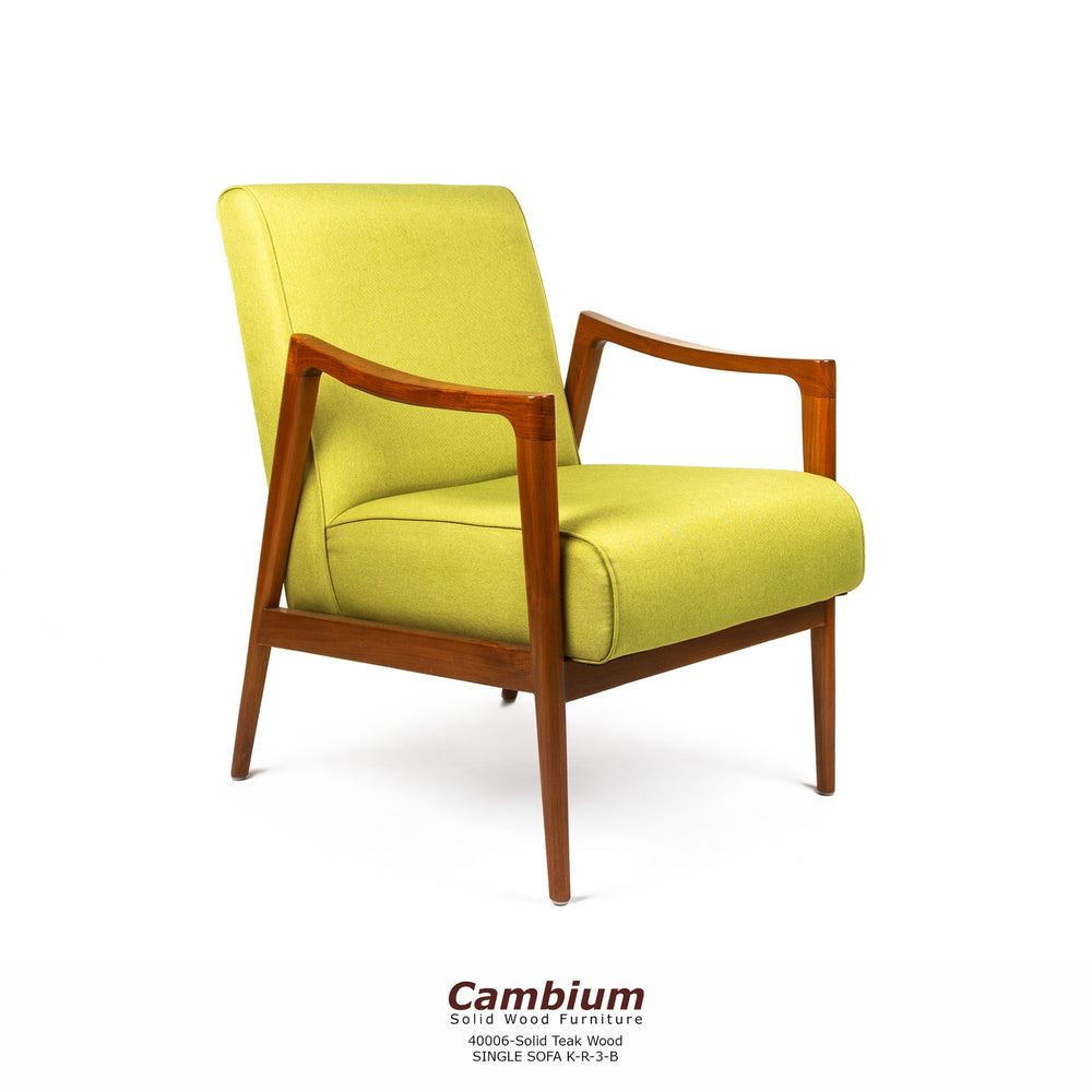 Minnesota Lounge Chair