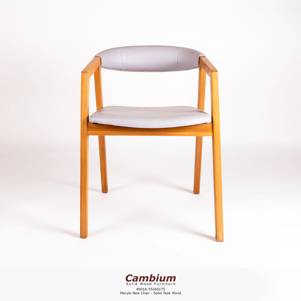 Meryle Padded Lounge Chair