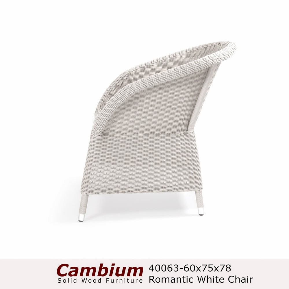 Romanov Woven Lounge Arm Chair